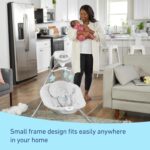 Graco Simple Sway Swing, Ivy