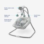 Graco Simple Sway Swing, Ivy